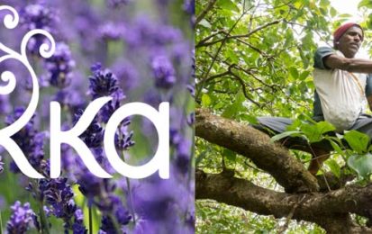 Pukka Herbs : une marque éthique et durable engagée